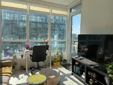 Furnished 1 Bedroom 1 Bath In Downtown Financial Dr Image# 10