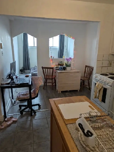 Appartement 2 1/2 semi-sous-sol – En face du métro Iberville Image# 2