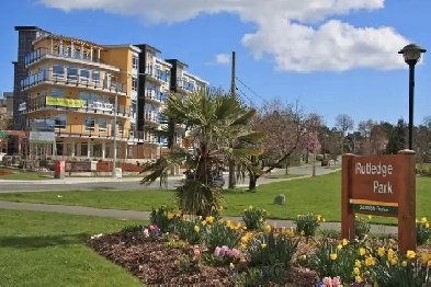 2 Bed 2 Bath Condo Available June 1 Image# 7
