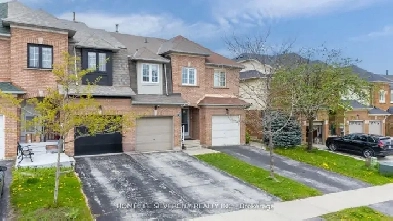 Studio basement with common entrance at L6R1H2, Brampton Image# 1