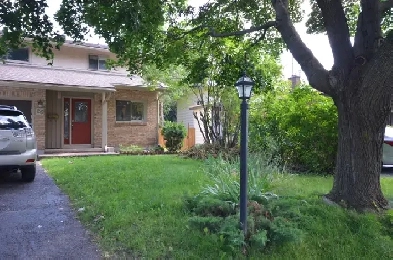 Bedroom close to Algonquin college Available June 1 Image# 9