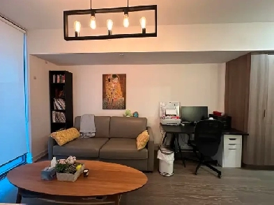 Furnished: Downtown (Yonge & Wellesley) 1  den, CN Tower View Image# 28