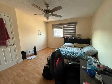 masterbed for rent Image# 1