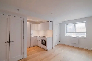 Renovated Studio near Blvd Saint-Laurent/ Plateau - ID 170 Image# 5