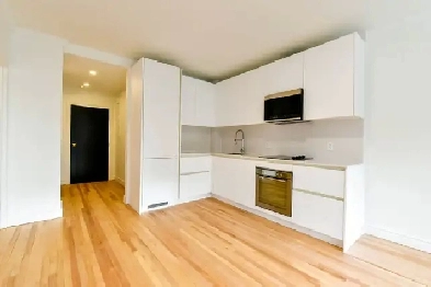 Downtown one-bed apartment, near McGill, May 1st - ID 3746 Image# 6