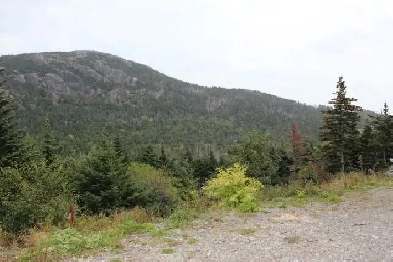 Land-Beachy Cove Brook & Hill as Your Backdrop! LOT 2 Image# 1