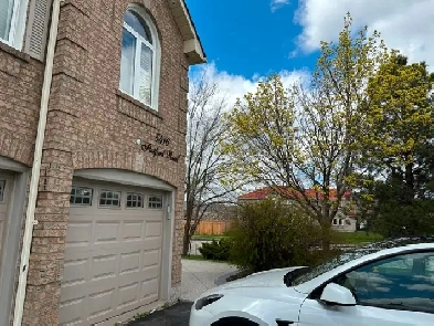 Bright & Spacious Mississauga Walkout Basement Near Heartland - Image# 1