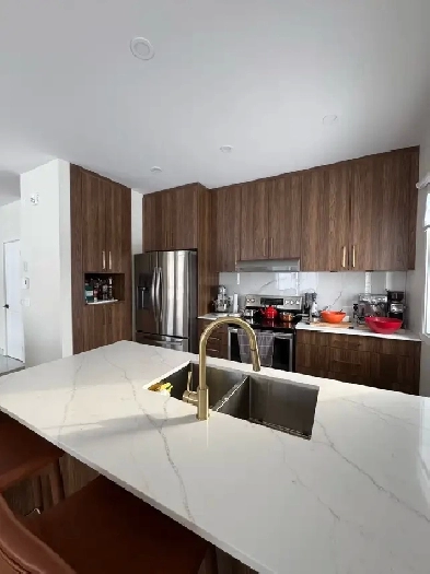 4.5 LUXUEUX A LAVAL TRÈS TRANQUILLE CONSTRUCTION SUPÉRIEURE Image# 2