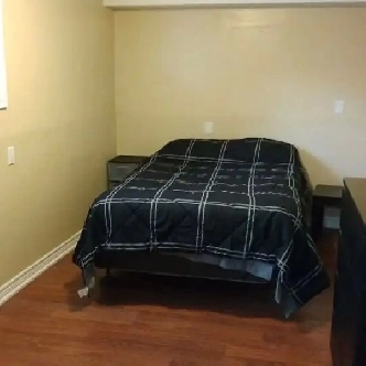 Immed/June-Furnished Bright basement apt-15m/Carleton-Meadowlnds Image# 1