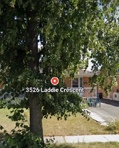 Walkout Basement for rent, Malton, Mississauga Image# 1