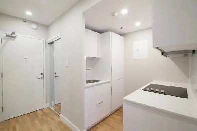 renovated one-bedroom apartment near McGill - ID 424 Image# 1