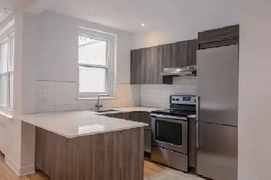 renovated 2-bedroom Apartment near Concordia - ID 333 Image# 1