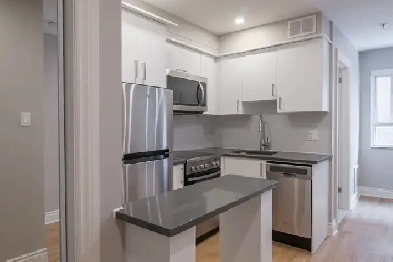 Renovated Studio apartment near blvd Saint-Laurent - ID 1092 Image# 1