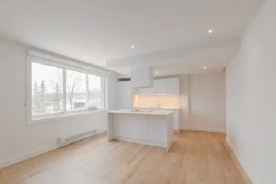 newly renovated studio apartment near UDEM - ID 843 Image# 1