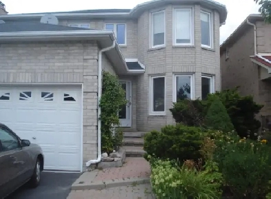 One-bedroom Basement Apartment newly renovated (Thornhill) Image# 3