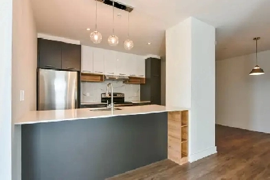 Large renovated two-bedroom apartment in Ahuntsic - ID 3890 Image# 1
