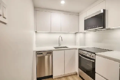 fully renovated studio apartment for May - ID 1725 Image# 1