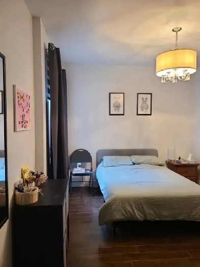 Appartement 3 1/2 Image# 1