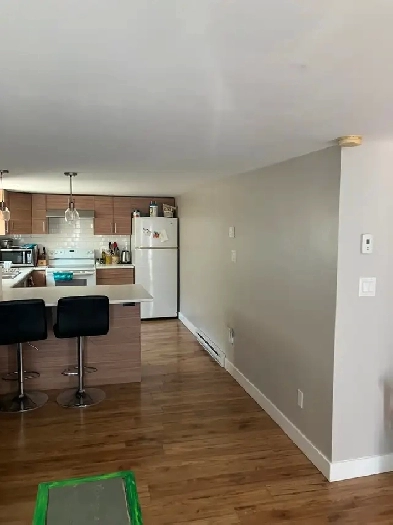 A room for rent - looking for a roommate Image# 2