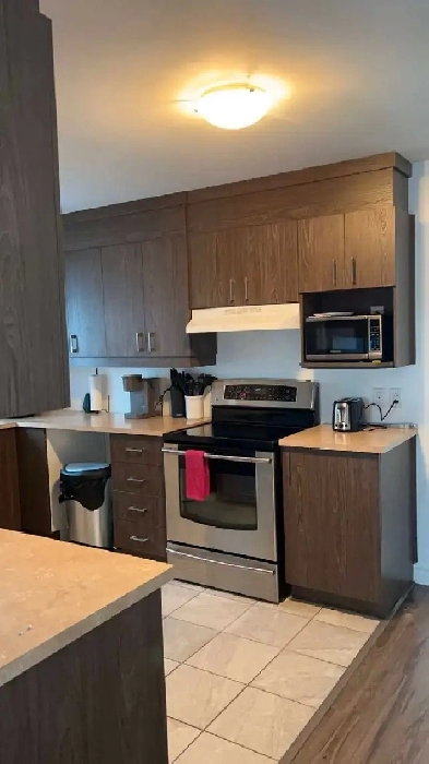 appartement à louer Image# 5