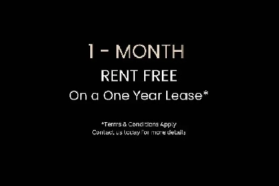 One Month RENT Free - Etobicoke 1 Bed Image# 13