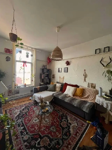 JE CÈDE MON CHARMANT 4 ½ RÉNOVÉ– OUTREMONT / MILE-END Image# 1