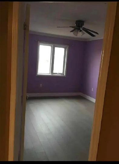 6 months Private room Accomodation For Female Image# 1