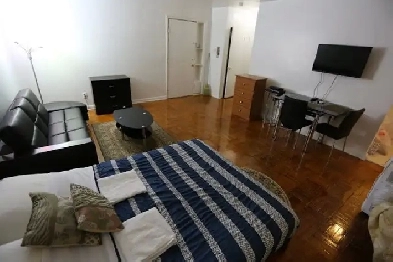 FURNISHED 1,2-BEDROOM APARTMENTS IN DOWNTOWN, EASTEND, WIFI, TV Image# 1