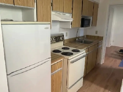 3 1/2 demi sous-sol dans Ahuntsic Image# 1