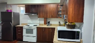 2 Bedroom Legal Basement for RENT from June 1st, 2025 Image# 1