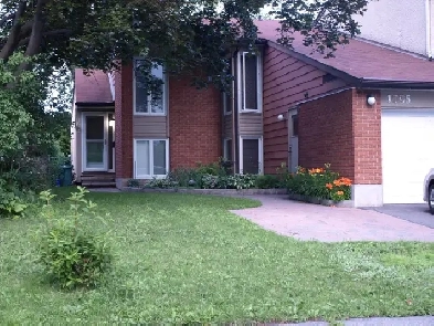 Room for rent in a good location (Bayshore) (Available now) Image# 1