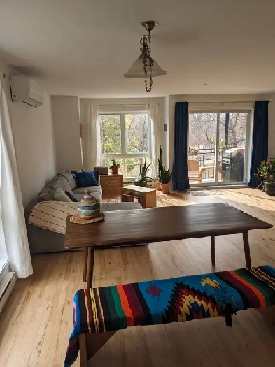 Grand 4 1/2, électros inclus, stationnement privé. Image# 1