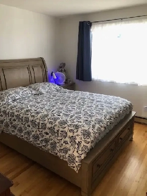 Pointe-aux-trembles  grand 4 1/2 à l'étage Image# 1