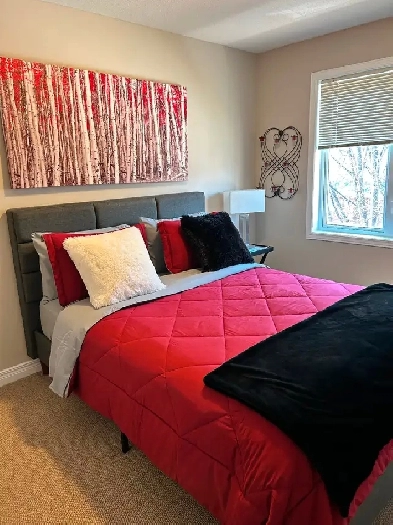 Female ..ROOM FOR RENT $ 700.00 a month….. Image# 9