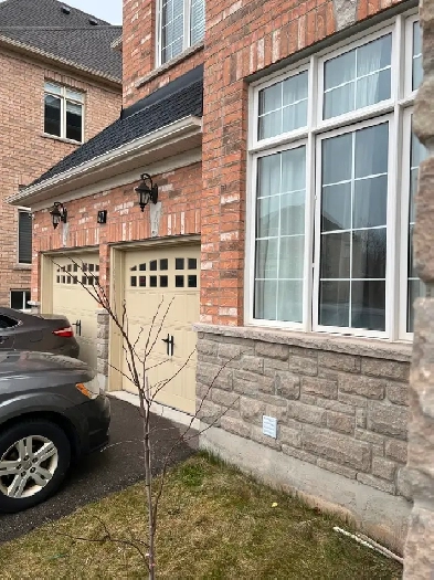 Spacious One Bedroom Basement for Rent Image# 8