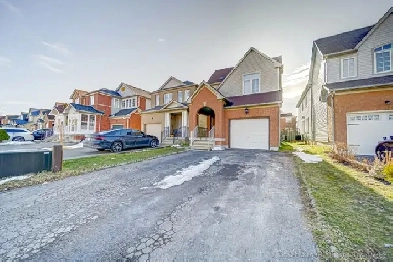 Basement Room For Rent at Markham Rd and Steeles ave East Image# 1