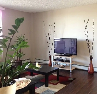 Cozy 1 bedroom suite on 3rd floor available May 15th Image# 3