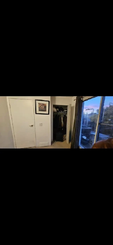 Room for Rent Close To Whitehorn LRT immediately Image# 1