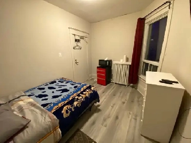 Furnished room, Dundas/College Station, TMU, asap Image# 11