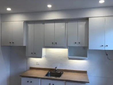 3 ½ Vieux Rosemont 1e étage frais peint libre juillet Image# 1