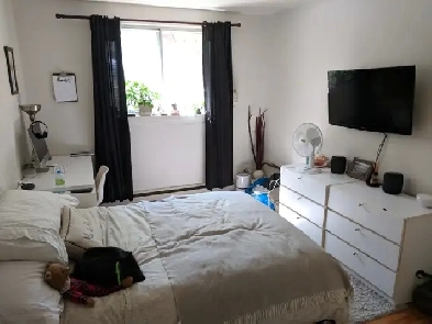 NDG (Loyola) - 4½ parking   storage SEPTEMBRE Image# 1