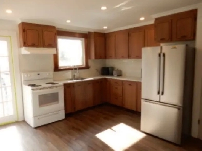 Professionally Renovated 3 Bedroom House Image# 5