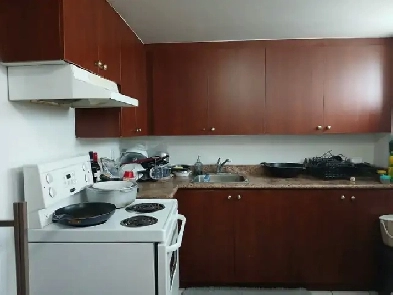 Basement Apartment For Rent Image# 1