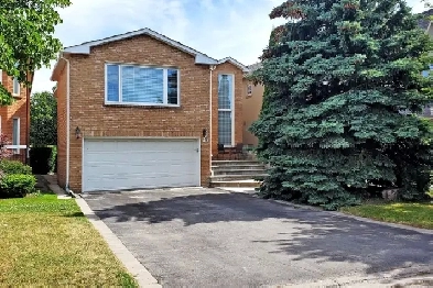 VIDEO TOUR!  Furnished room Yonge and Steeles Private Bathroom Image# 6