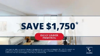 173 Cooper: Apartment for rent in Ottawa Image# 1