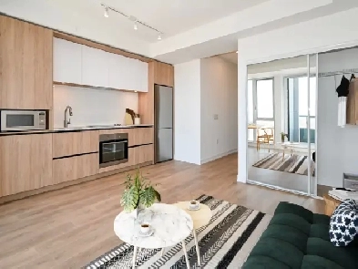 Studio for rent by Regent Park (Penthouse Floor) Image# 5