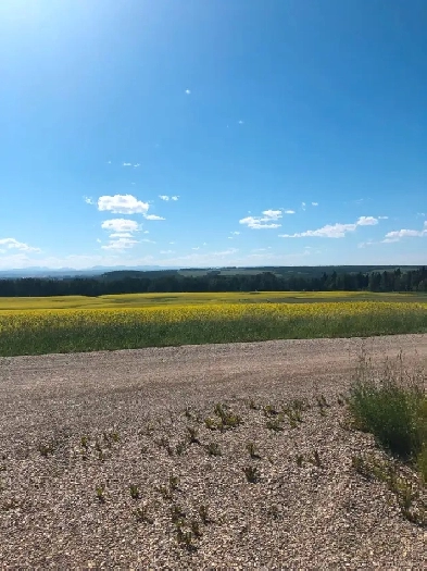 4 Acres in Mountain View County Image# 1