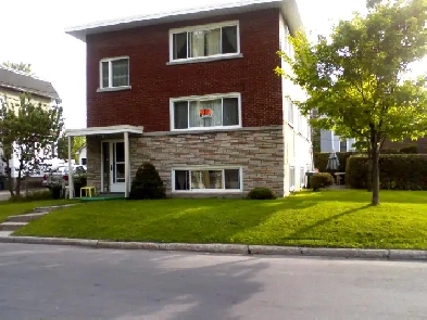 Spacious 1 bedroom apartment in Ottawa -  Newly renovated Image# 1