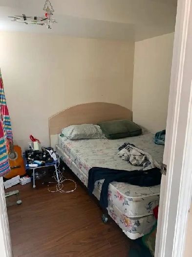 Basement apartment for rent Image# 4