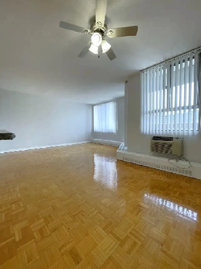 1 Bedroom / 1 Bathroom apartment for rent Image# 3